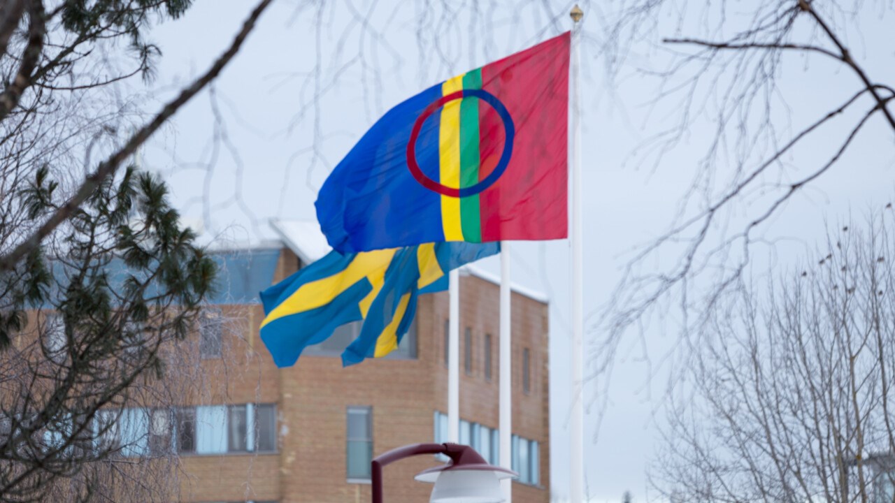 Den samiska flaggan vajar på campus Umeå.