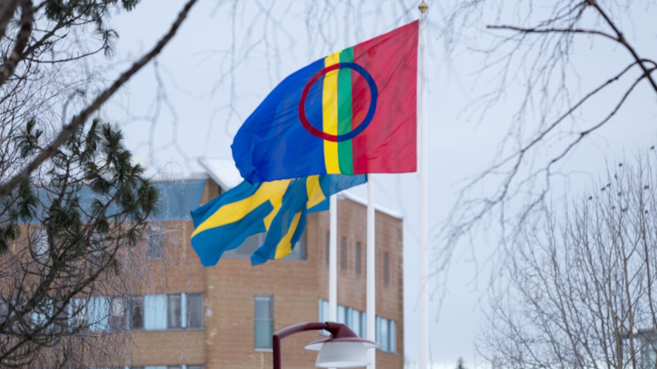 Den samiska flaggan vajar bredvid två svenska på flaggstängerna på campus Umeå.