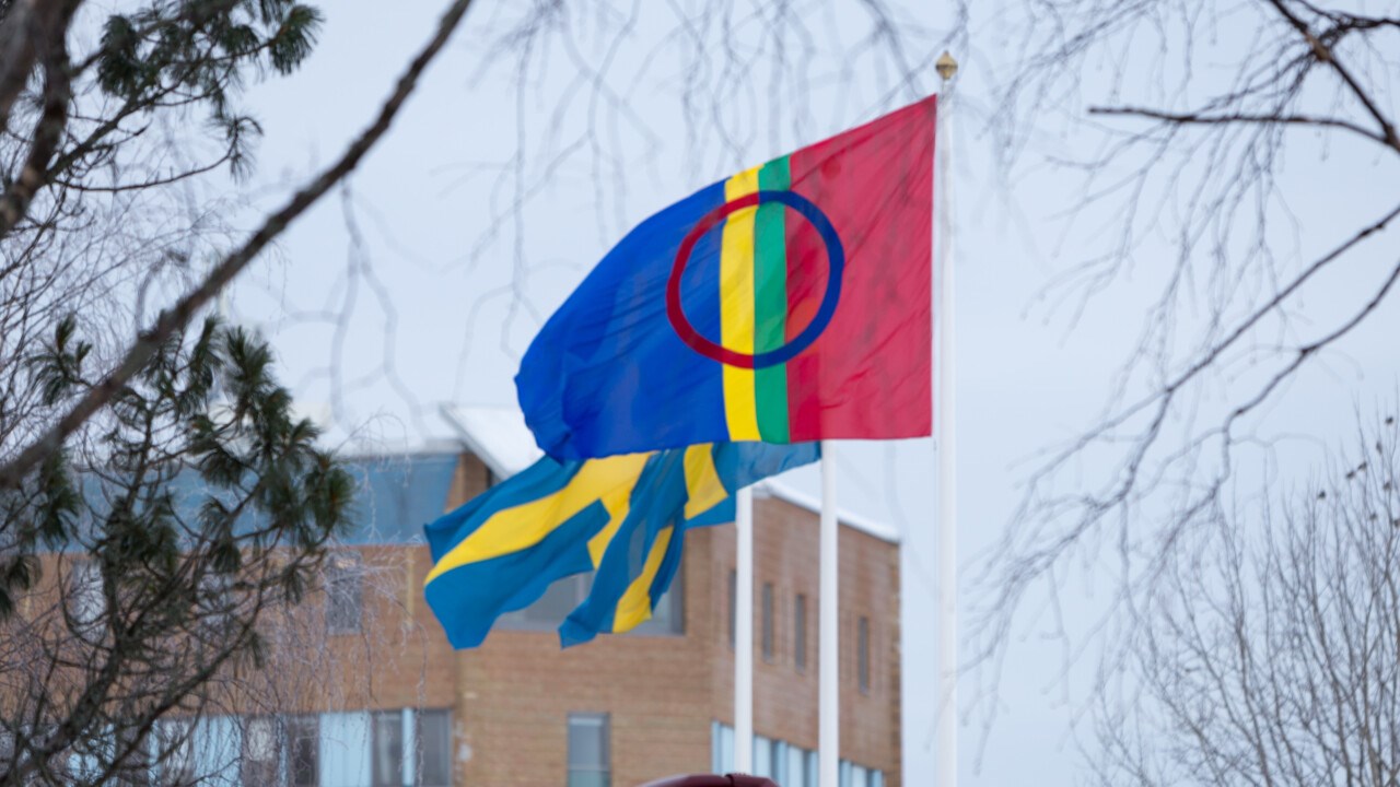 Den samiska flaggan vajar bredvid två svenska på flaggstängerna på campus Umeå.