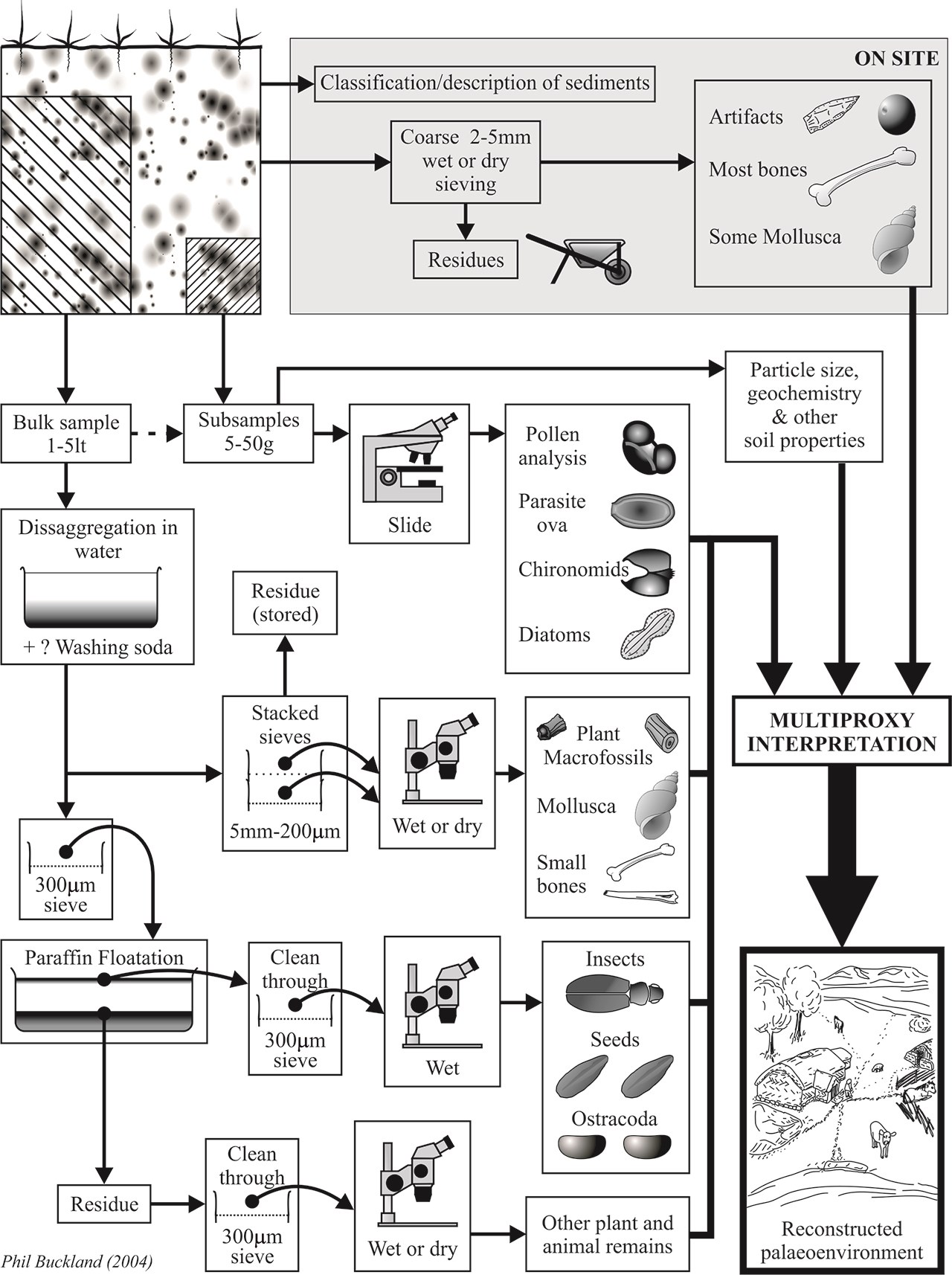 Illustration of the sample processing chain implemented at MAL