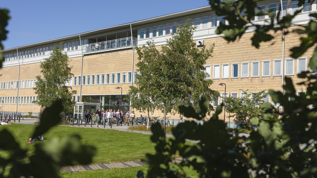 sensommar på umeå universitet