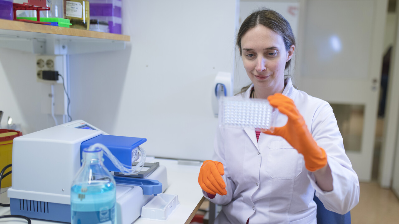 Barbara Sixt lab