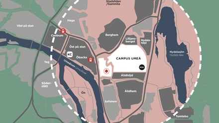Illustration av var Campus Umeå ligger i förhållande till Umeå stad.