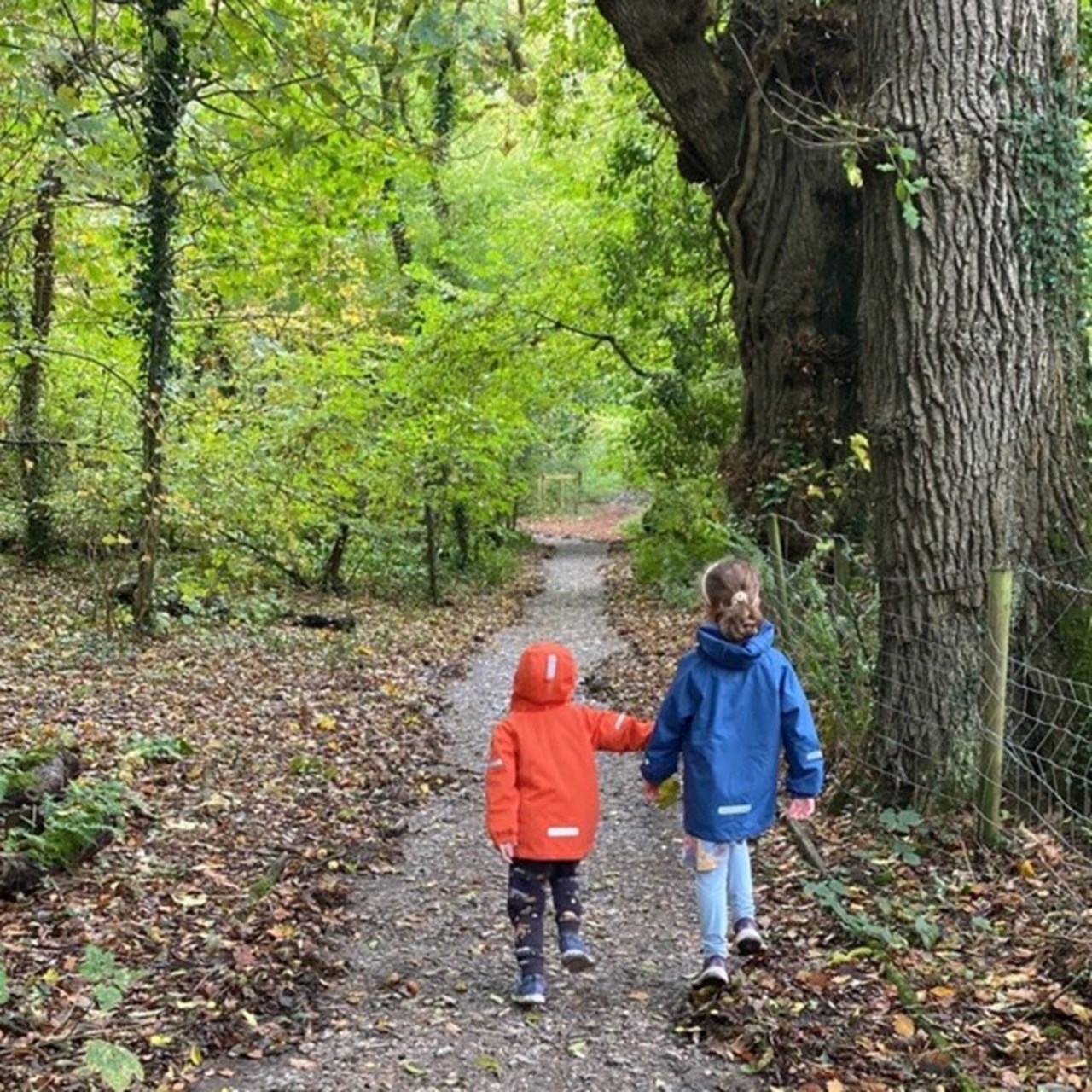 Bishopston Woods