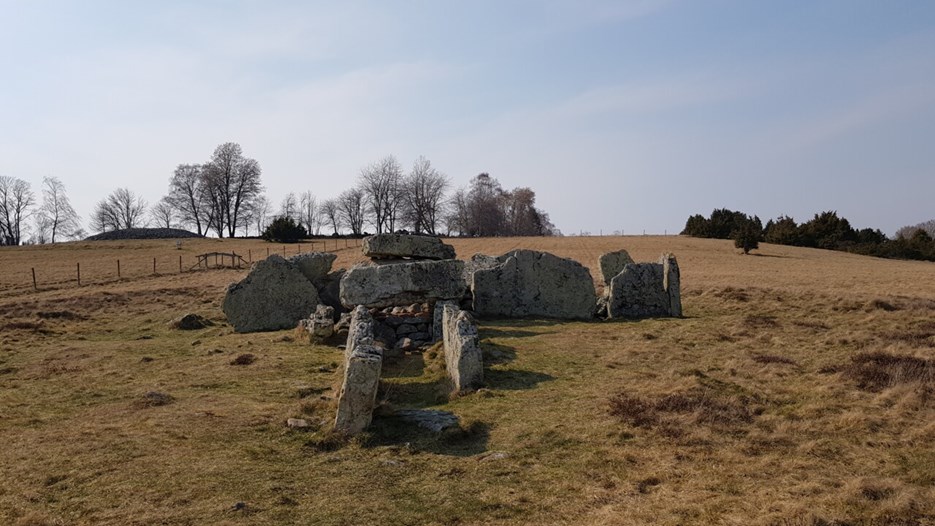 Master's Programme in Landscape Archaeology / Environmental Archaeology
