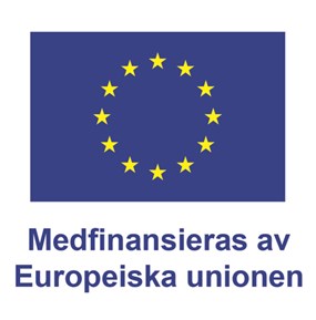 EUs logga med texten Medfinansieras av Europeiska unionen