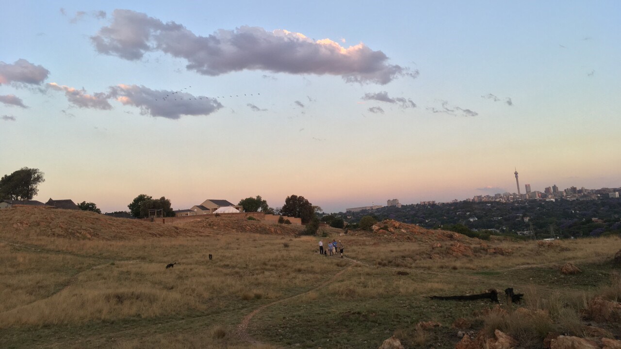 Landsbyggd i Sydafrika, blå himmel och stor åker