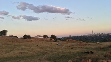 Landskap i Sydafrika, blå himmel och grönyta
