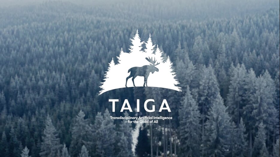 Film: About TAIGA