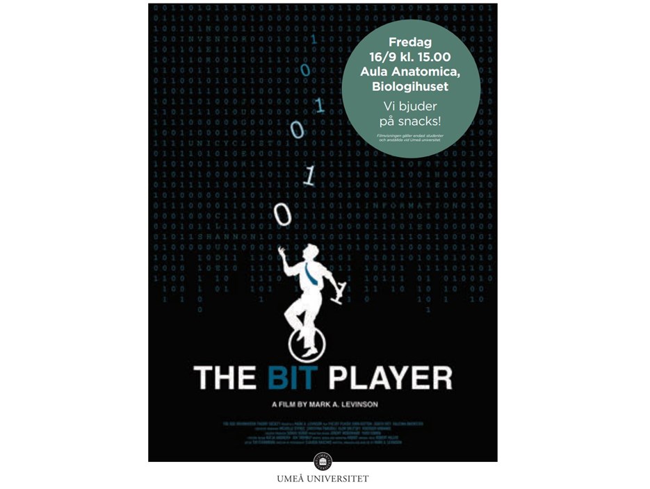 Movie poster The Bitplayer