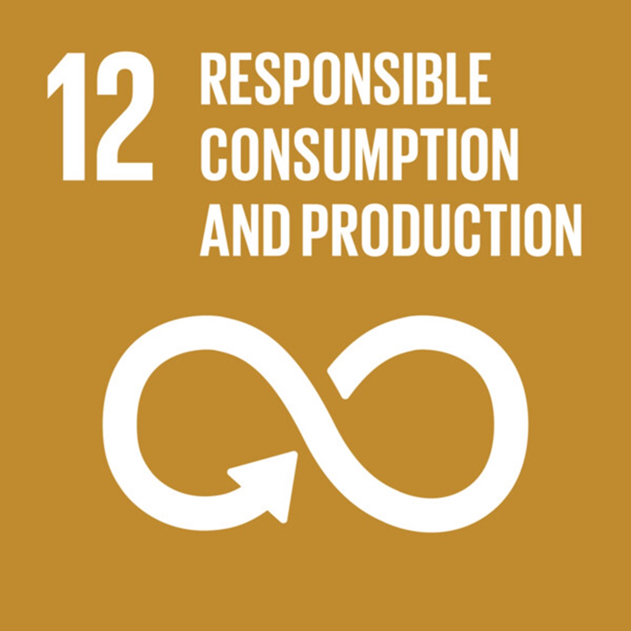 The Global Goals, Goal 12 - Responsible Consumption and Production