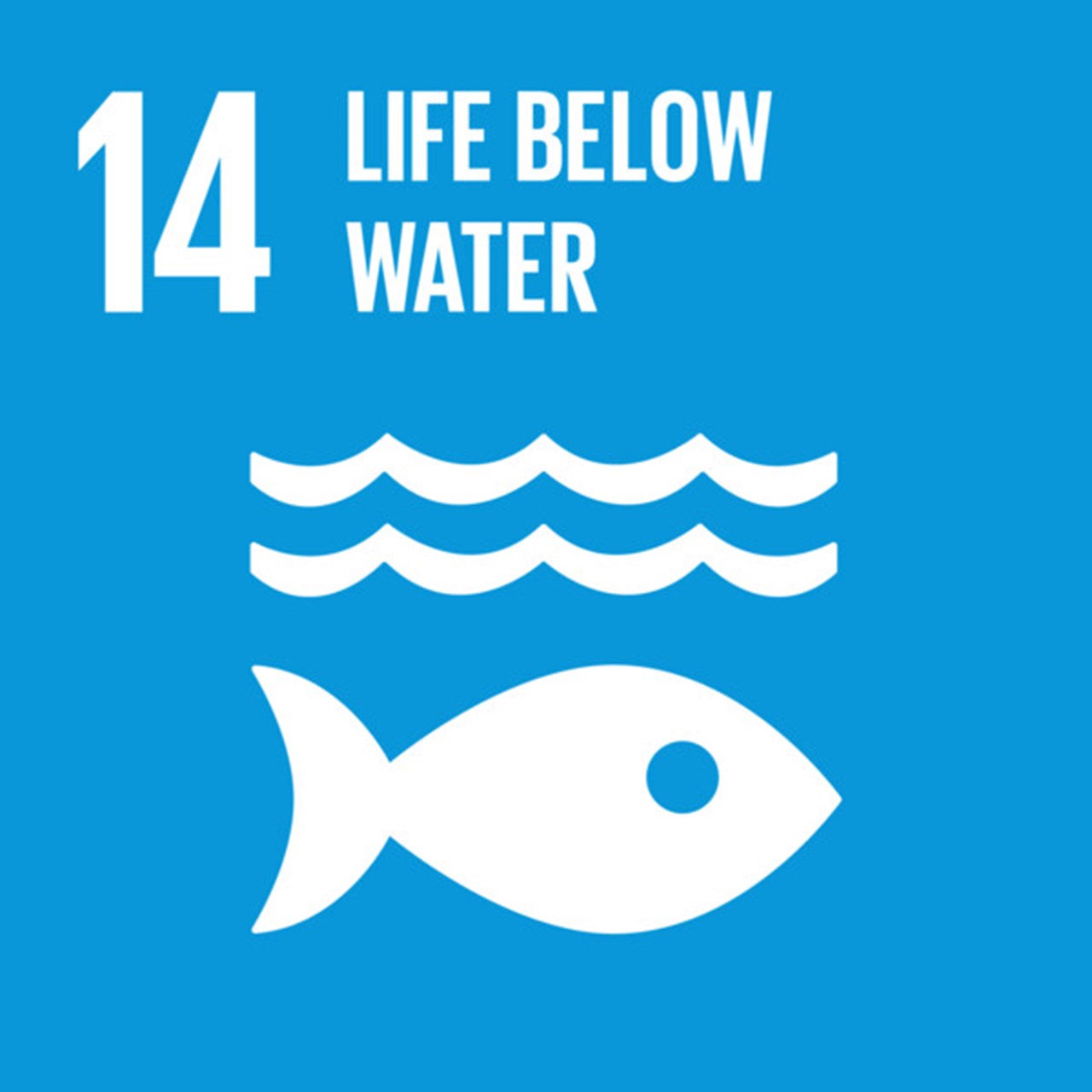 The Global Goals, Goal 14 - Life Below Water