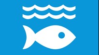 Illustration of fish below water on blue background symbolising the ocean and marine resources.