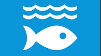 Illustration av fisk under vattenytan mot blå bakgrund som ska symbolisera hav och marina resurser.