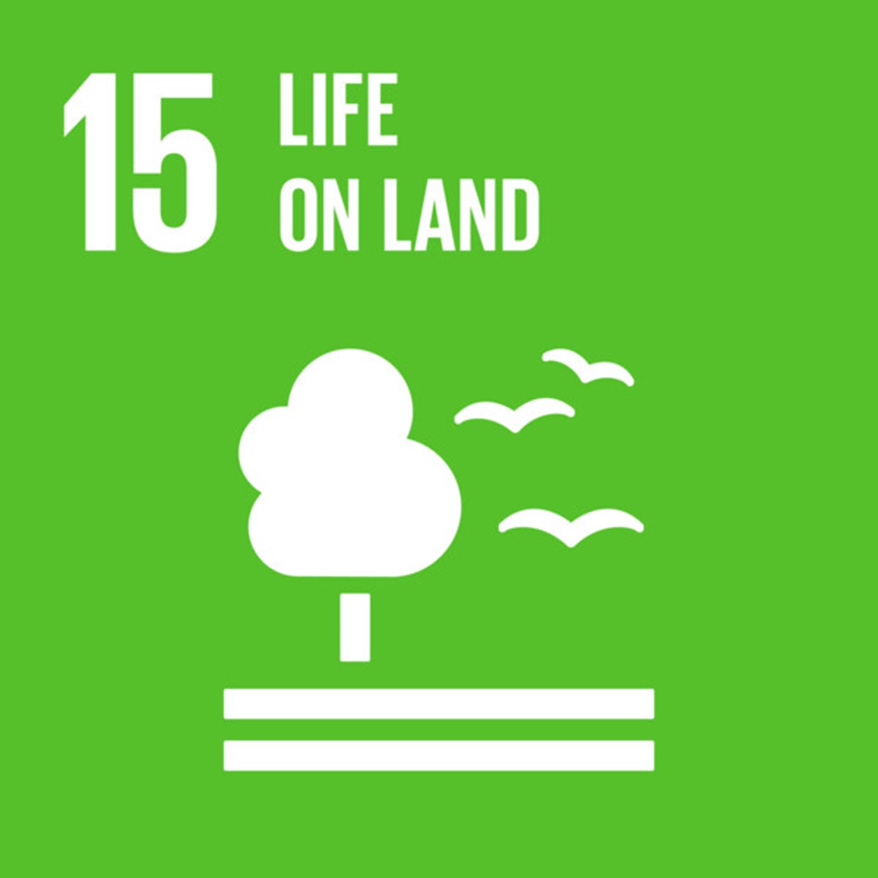 The Global Goals, Goal 15 - Life on Land