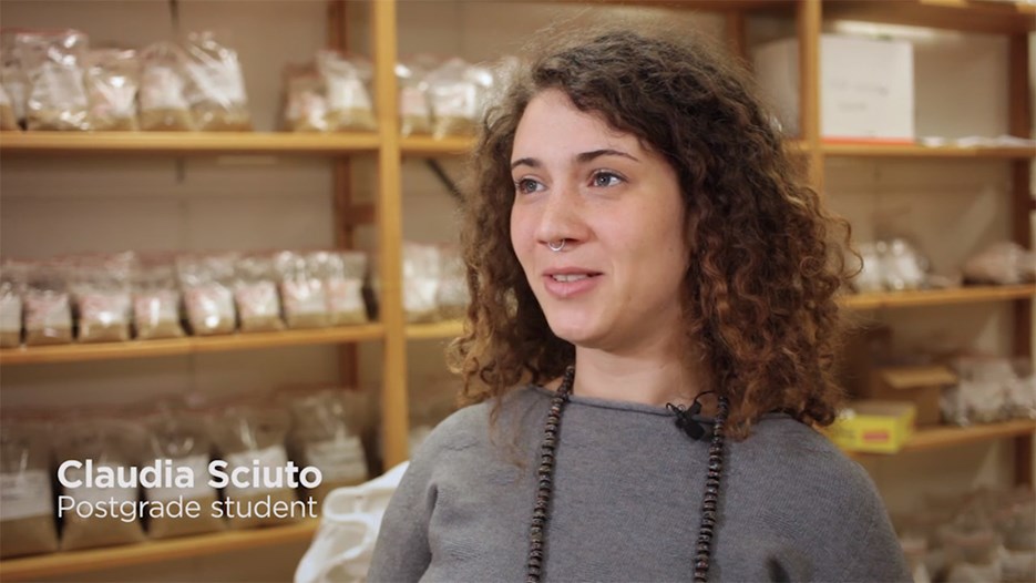 Film: "As a PhD student in Umeå you have a lot of rights and very good conditions"