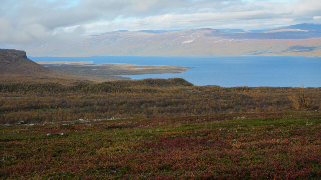 Bild från Torneträsk