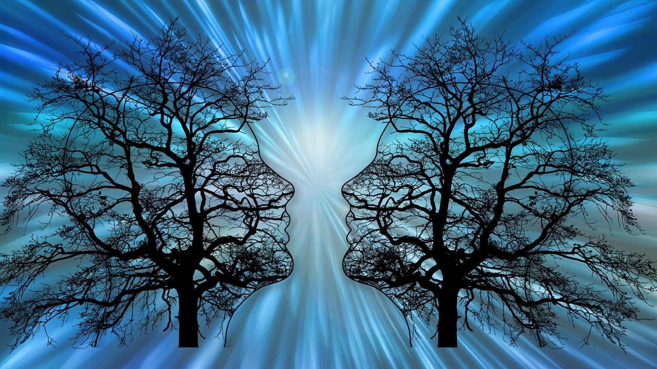 Illustration of two head silhouettes with threes inside and a blueish light from behind.