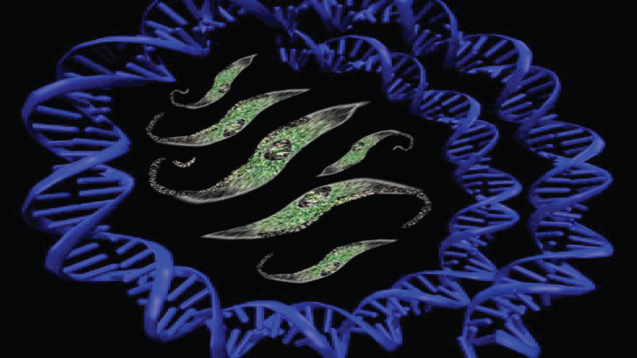 Trypanosome constellation