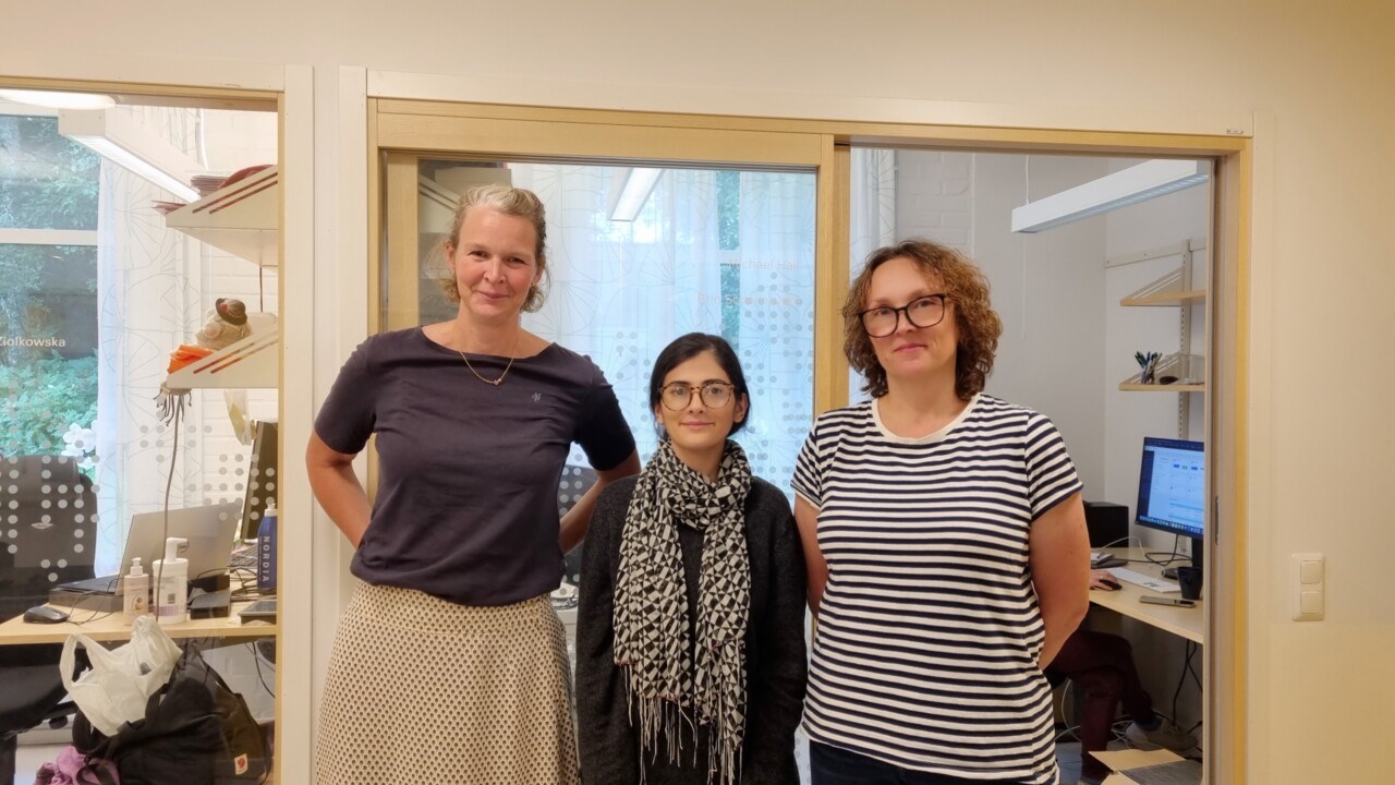 Collaborative project between UCEM and University of Helsinki: Linda Sandblad (head of UCEM), Kaneez Fatima (PhD student from University of Helsinki) and Agnieszka Ziolkowsk (personnel at UCEM)a