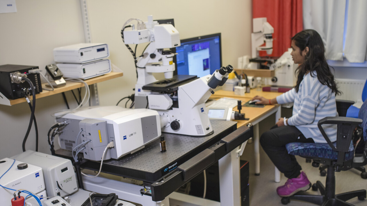 Bmc Lab Director BMCU Staff Contacts