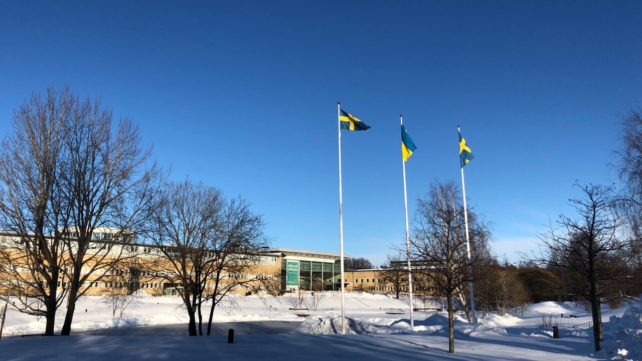 Ukrainsk och svensk flagga hissad på Campus Umeå.