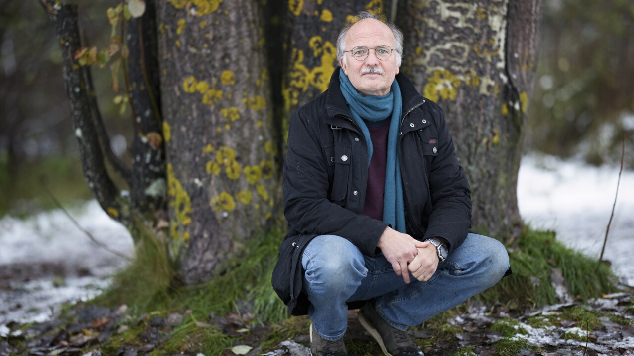 Stefan Jansson framför asp på Umeå campus