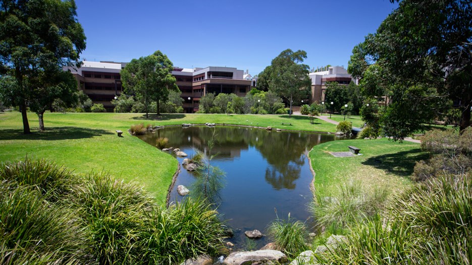 University of Wollongong