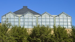 Photo of green house at Umeå Plant Science Centre