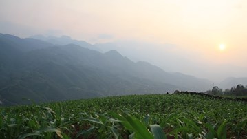 Landskap i Vietnam, berg i bakgrunden och grönyta i förgrunden