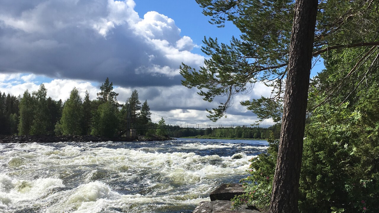 Rapids on the Vindel river. 