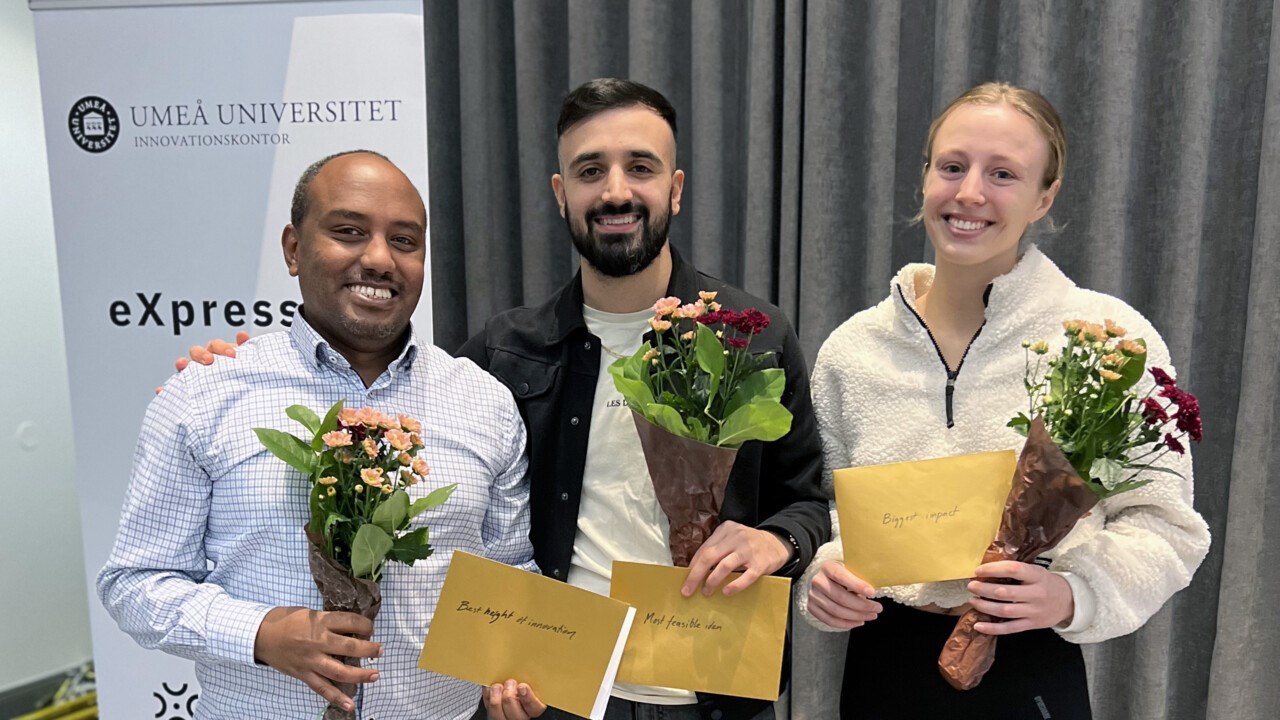 Porträtt av Abel Hailu Kebede, Dana Ali och Annie Lindgren