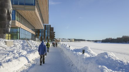 Film: Winter in Umeå