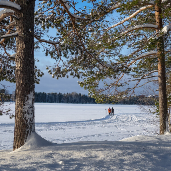 Lake Nydala during the wintertime