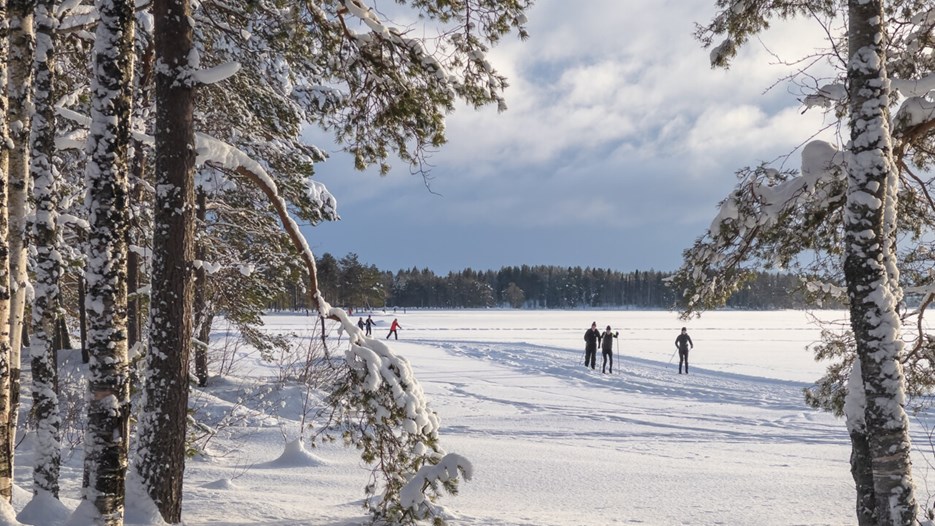 Skidåkare på Nydalasjön vintertid.