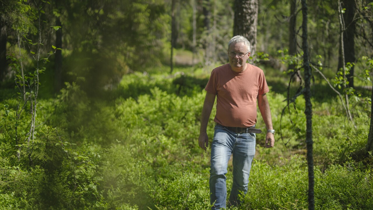 David Wardle promenerar i grön skog