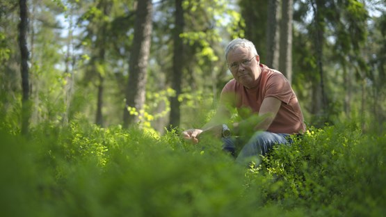 Bild på David Wardle i skogen