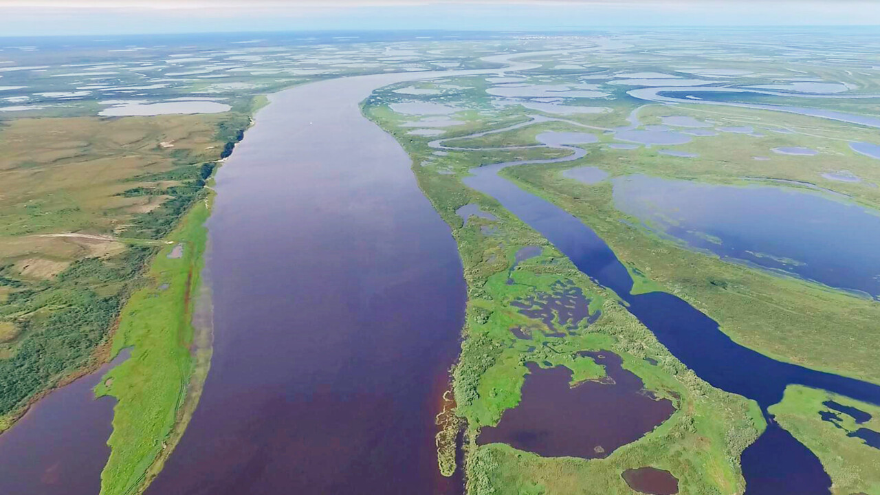 elegant bästa värde erkända varumärken Western Siberian rivers and lakes emit greenhouse gases into the ... elegant bästa värde erkända varumärken Western Siberian rivers and lakes emit greenhouse gases into the ...