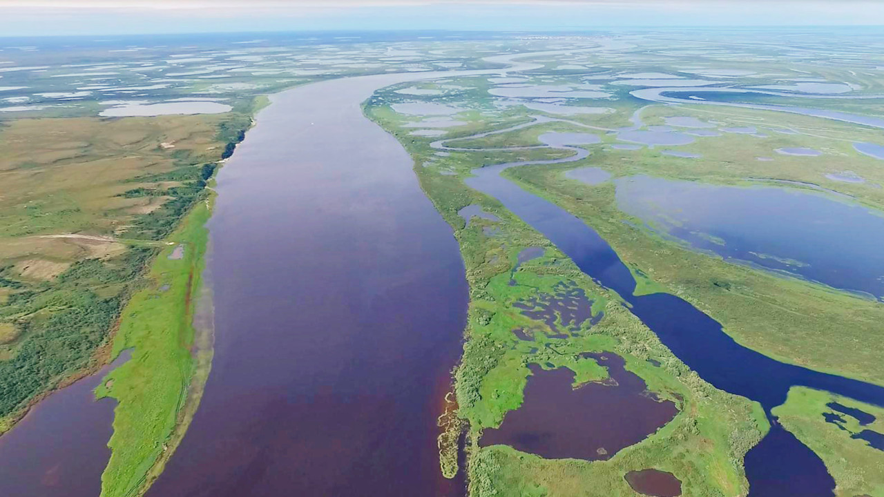 Área do Permafrost e paisagem de rio na Sibéria ocidental