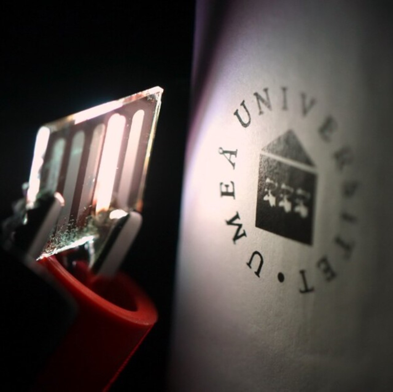 En lampa som lyser på Umeå universitets logga.