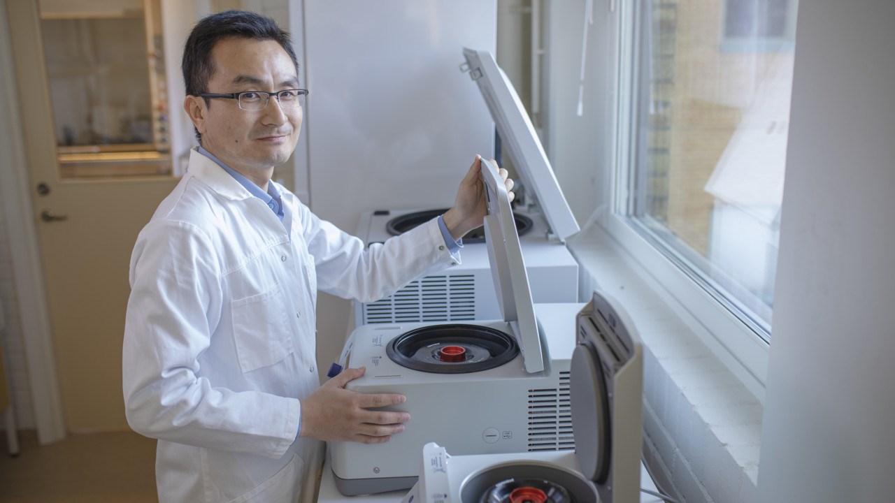 Porträtt på Yaowen Wu, professor i biokemi med inriktning mot syntetisk proteinkemi, vid Kemiska institutionen.
