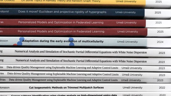 Avhandlingar i matematik och matematisk statistik vid Umeå universitet