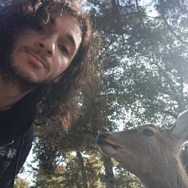 En person tar en selfie i parkmiljö med ett rådjur, vars huvud sticker upp i underkant på bilden. I bakgrunden syns flera lummiga träd som släpper igenom strålande solljus.