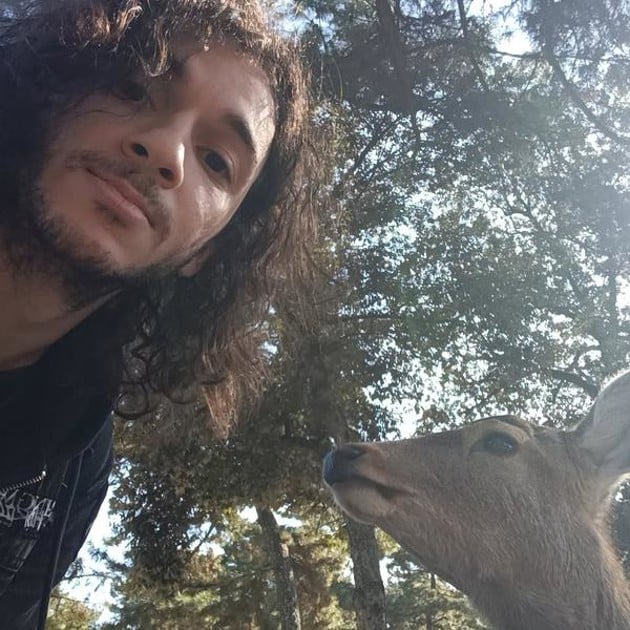 En person tar en selfie i parkmilj&ouml; med ett r&aring;djur, vars huvud sticker upp i underkant p&aring; bilden. I bakgrunden syns flera lummiga tr&auml;d som sl&auml;pper igenom str&aring;lande solljus.