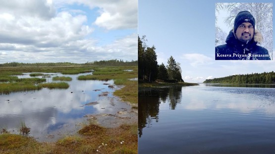 Photo montage wetlands and portrait of Kesava Priyan Ramasamy 