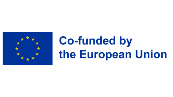 Eu flag and co-funding text