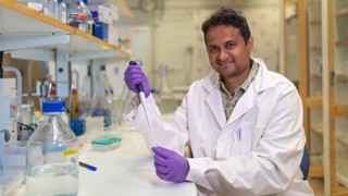 My journey as an 'Excellence by Choice' postdoc in Umeå