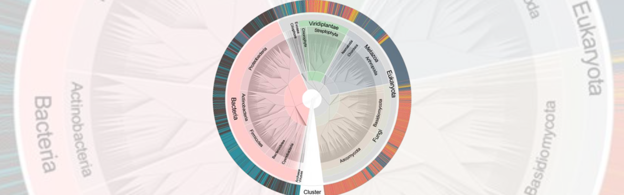 Kiruna air filter phylogenetic tree of species found