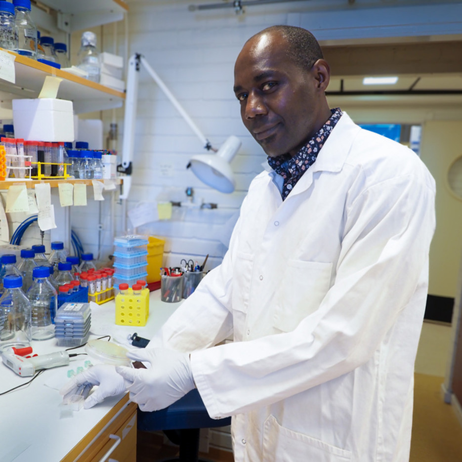 Nasim Sabouri lab