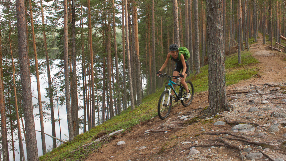 En person som cyklar på en rullstensås i tallskog. nedanför ses en älv